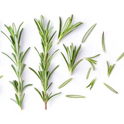 Ingredients 101: Rosemary For Natural Hair